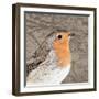 Feathered V-Anna Polanski-Framed Art Print