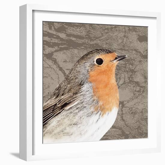 Feathered V-Anna Polanski-Framed Art Print