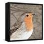 Feathered V-Anna Polanski-Framed Stretched Canvas