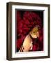 Feathered-Atelier Sommerland-Framed Art Print