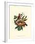 Feathering Nest II-null-Framed Art Print