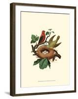 Feathering Nest II-null-Framed Art Print