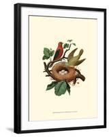 Feathering Nest II-null-Framed Art Print