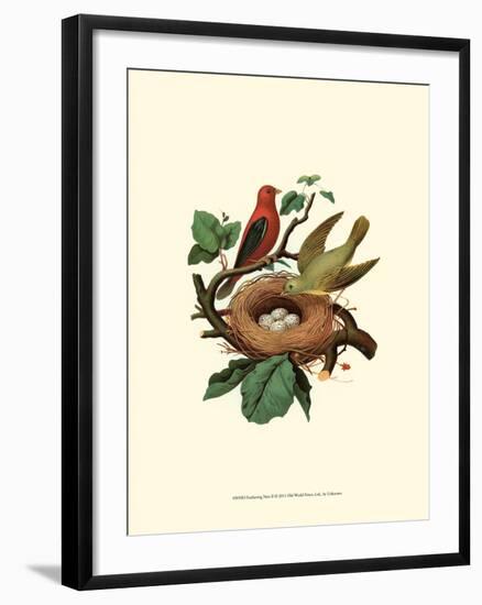 Feathering Nest II-null-Framed Art Print