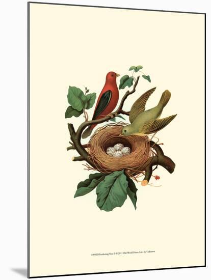 Feathering Nest II-null-Mounted Art Print