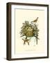 Feathering Nest III-null-Framed Art Print