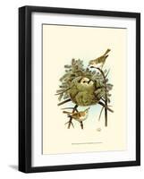 Feathering Nest III-null-Framed Art Print