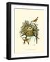Feathering Nest III-null-Framed Art Print