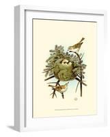 Feathering Nest III-null-Framed Art Print