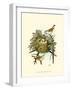 Feathering Nest III-null-Framed Art Print