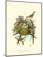 Feathering Nest III-null-Mounted Art Print