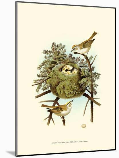 Feathering Nest III-null-Mounted Art Print