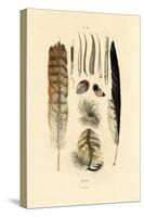Feathers, 1833-39-null-Stretched Canvas