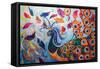 Feathers and Fantasy-Margaret Coxall-Framed Stretched Canvas