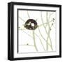 Feathers and Twigs-Erin Clark-Framed Art Print