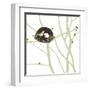 Feathers and Twigs-Erin Clark-Framed Art Print