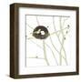 Feathers and Twigs-Erin Clark-Framed Art Print