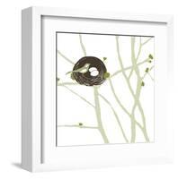 Feathers and Twigs-Erin Clark-Framed Art Print