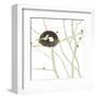 Feathers and Twigs-Erin Clark-Framed Art Print