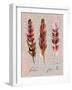 Feathers Fig 2-Gregory Gorham-Framed Art Print