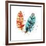 Feathers II-Sara Berrenson-Framed Art Print