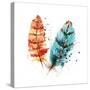 Feathers II-Sara Berrenson-Stretched Canvas