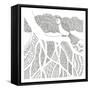 Feathers In The Storm-Pam Varacek-Framed Stretched Canvas