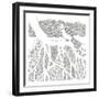 Feathers In The Storm-Pam Varacek-Framed Art Print