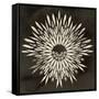 Feathers Mandala I-null-Framed Stretched Canvas