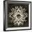 Feathers Mandala I-null-Framed Premium Giclee Print