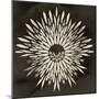 Feathers Mandala I-null-Mounted Premium Giclee Print