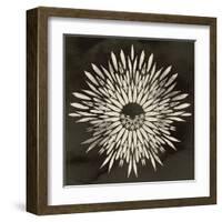 Feathers Mandala I-null-Framed Art Print