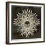 Feathers Mandala I-null-Framed Art Print