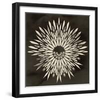 Feathers Mandala I-null-Framed Art Print