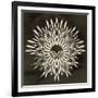 Feathers Mandala I-null-Framed Art Print