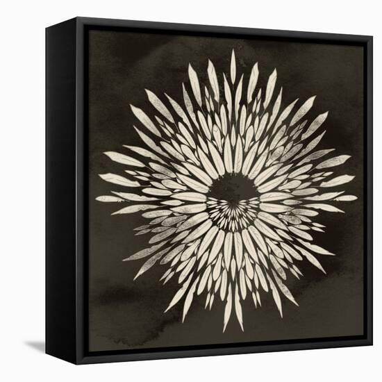 Feathers Mandala I-null-Framed Stretched Canvas