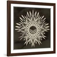 Feathers Mandala I-null-Framed Art Print