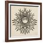 Feathers Mandala II-null-Framed Art Print