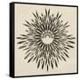 Feathers Mandala II-null-Framed Stretched Canvas