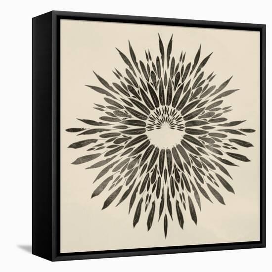 Feathers Mandala II-null-Framed Stretched Canvas