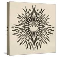 Feathers Mandala II-null-Stretched Canvas