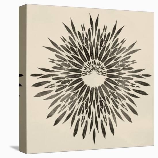 Feathers Mandala II-null-Stretched Canvas