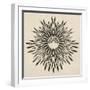 Feathers Mandala II-null-Framed Art Print