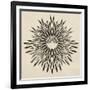 Feathers Mandala II-null-Framed Art Print