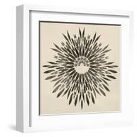 Feathers Mandala II-null-Framed Art Print