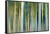 Feathers Of Light-Jacob Berghoef-Framed Stretched Canvas