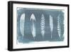Feathers on Dusty Teal II-Grace Popp-Framed Art Print