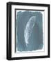 Feathers on Dusty Teal III-Grace Popp-Framed Art Print