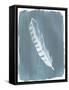 Feathers on Dusty Teal IV-Grace Popp-Framed Stretched Canvas