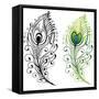 Feathers-worksart-Framed Stretched Canvas